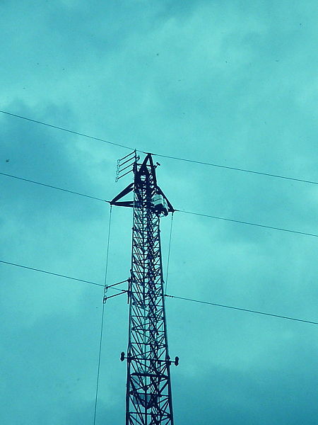 Fichier:1990-05 08.JPG